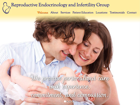 Reproductive Endocrinology and Infertility Group website